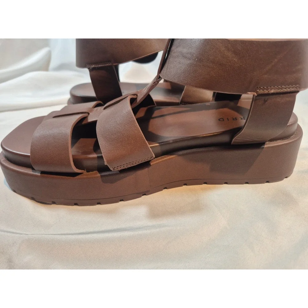 Torrid Dark Brown Gladiator Strappy Buckle Chunky Sandals US 9.5WW EU 39.5